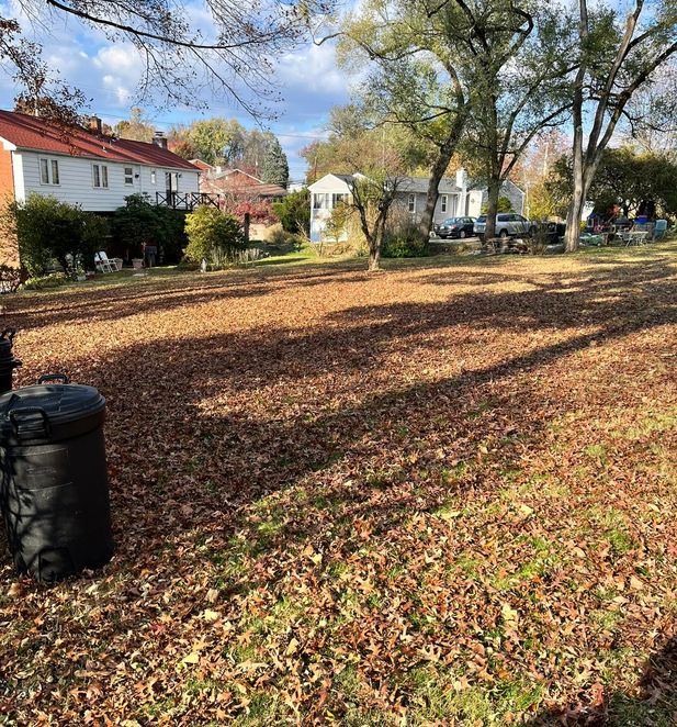 Landscape Cleanup